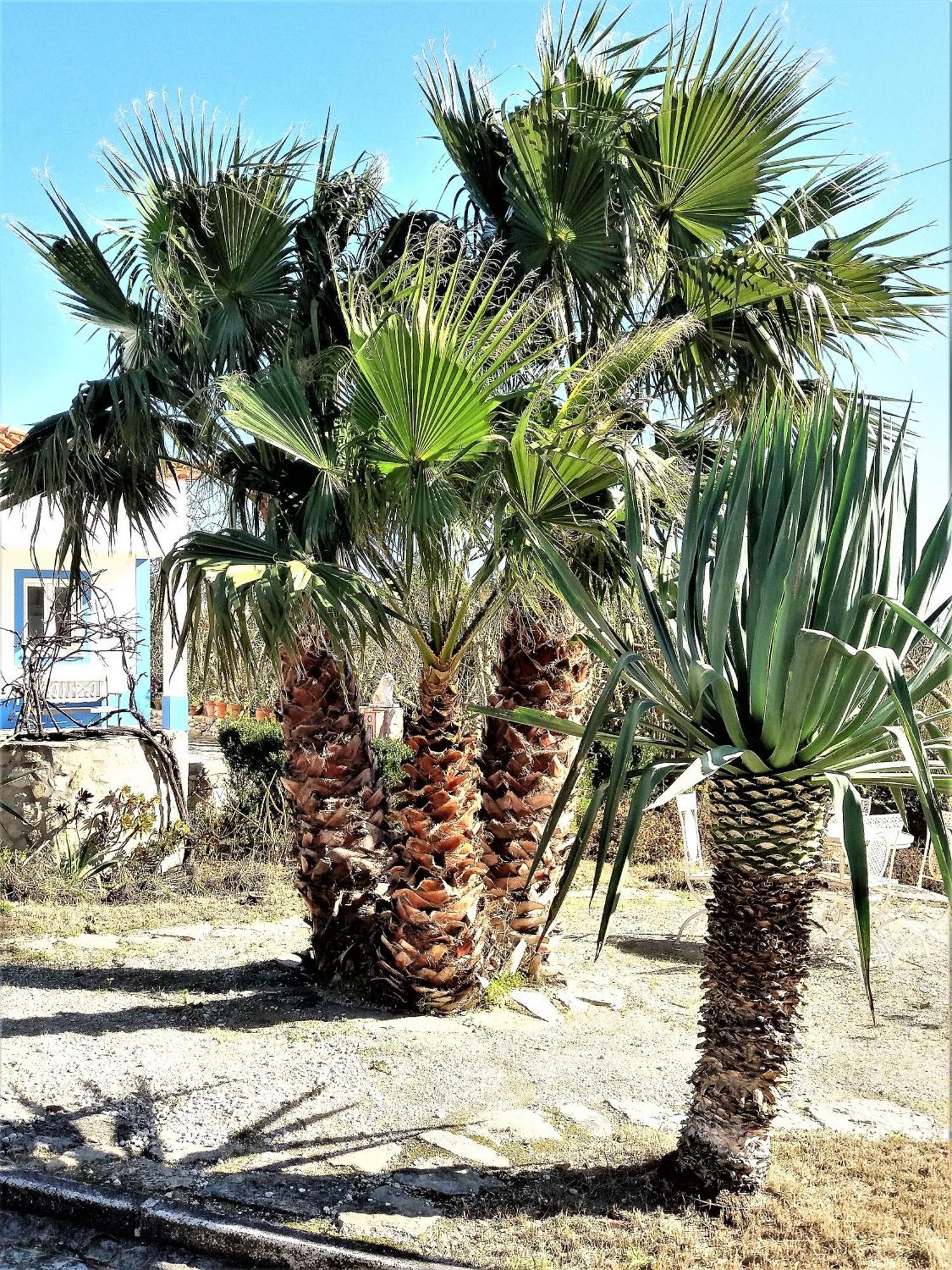 Вилла Agua Rocha Serra de Mangues Номер фото