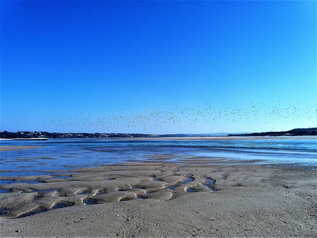 Вилла Agua Rocha Serra de Mangues Экстерьер фото